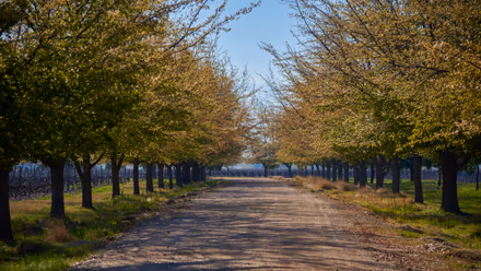 El packaging de MontGras Organic es elegido como el mejor en Chile