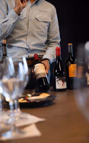 Tour del Vino Ícono