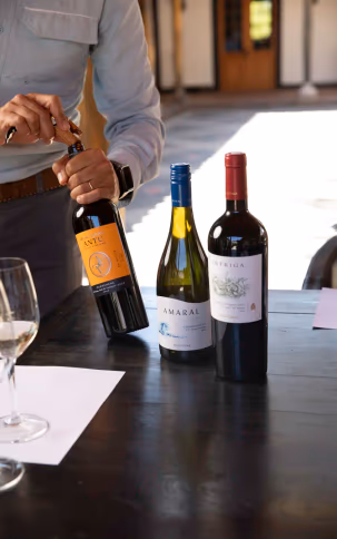 Tour Vinos y Sabores